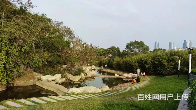 软件园二期中庭精装273平 五个隔间  朝南 环境优美 - 图片 12