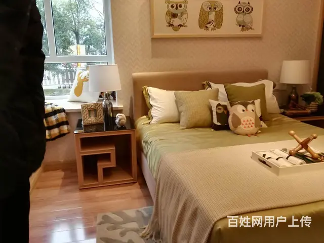 南京北站旁 汊河金地都会艺境 性价比高 户户送一房 - 图片 1