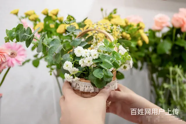 （同城乐铺推广）丽彩珠泉广场29平花店转让，客源稳定 - 图片 11