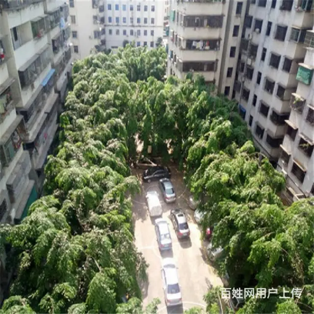 白龙商圈    侨办宿舍电梯2房 - 图片 12