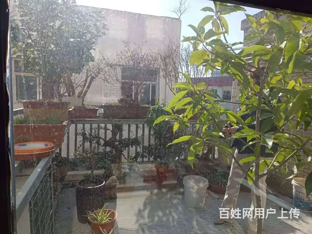 嘉和花园  精装修好房，赠送2个大露台，价格便宜，拼手速！ - 图片 9