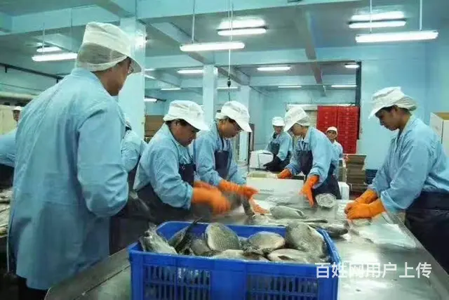 出国务工年薪30万起前期无费用（保签）不成功不收费 - 图片 6