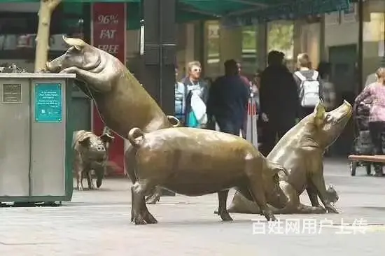 云南GRC线条厂家昆明丁康装饰工程有限公司 - 图片 12