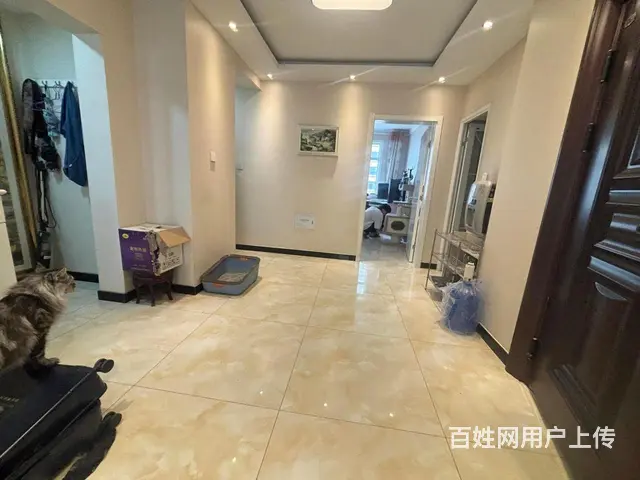 钢铁北路金华19电梯入户好楼层带车位 新小区绿化好采光好有赠 - 图片 8