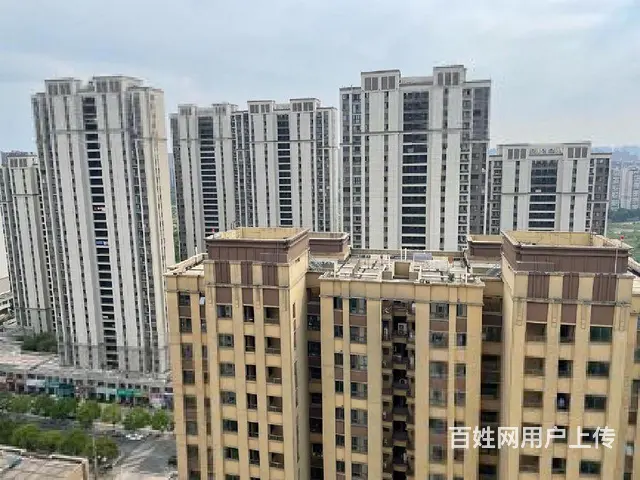 里面租客刚搬走，现在随时可以拎包入住，不能养宠物就可以。 - 图片 7