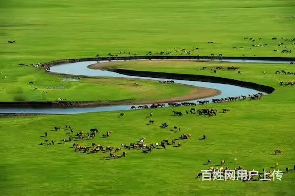 呼伦贝尔旅游包车师傅排名商家信誉好 - 图片 1