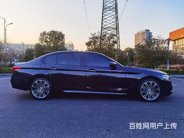 宝马5系 2019款 530Li 2.0T 手自一体   型 - 图片 2