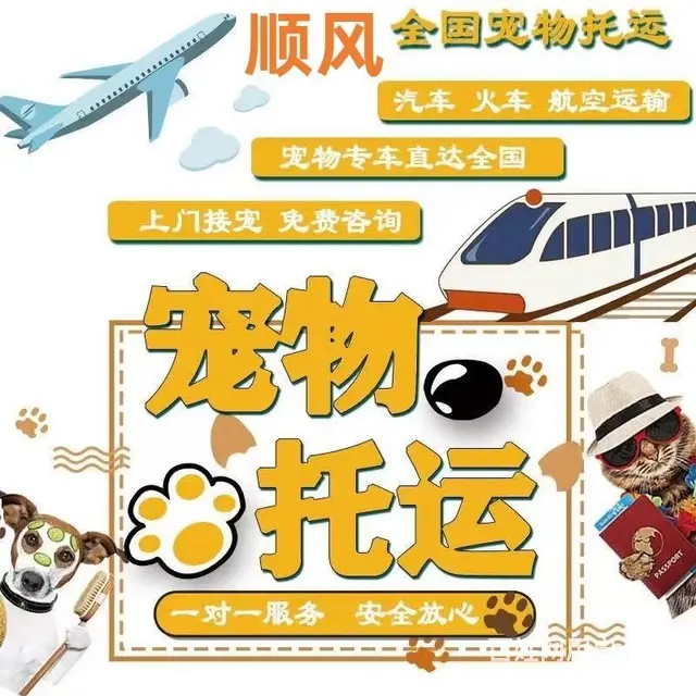 常州市宠物托运（猫狗）邮寄快递（2023今日 推荐运输 - 图片 6