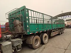 九洲高栏大开门