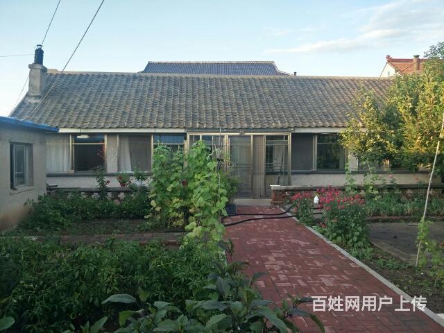 平房大院五间正房四间门房出售可居住可办厂