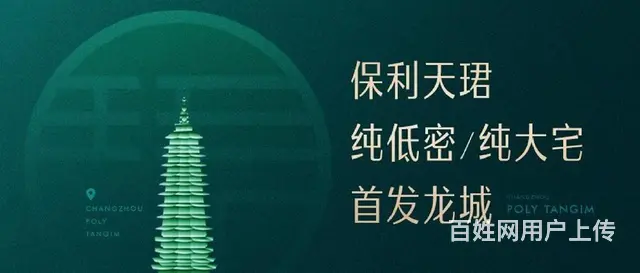 D铁口天宁红梅主芯保利天珺洋墅双公园火车站精装均26000起 - 图片 6