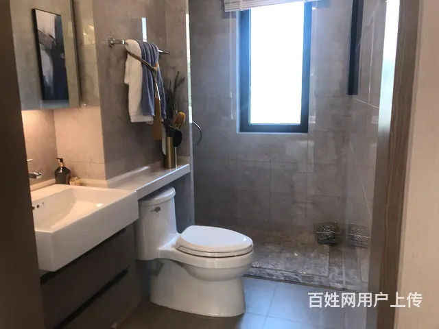 龙湖春江彼岸89两室两厅电梯洋房 - 图片 9