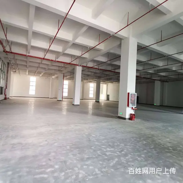 尚湖鸳鸯桥标准厂房10500平，宿舍配套，适合各种行业，分租 - 图片 11