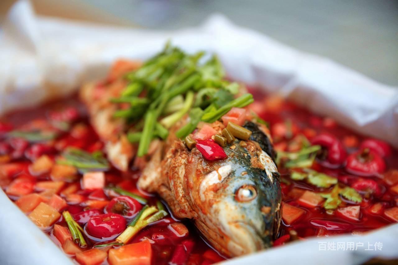 纸上烤鱼怎么做,纸上烤鱼去那里学,纸上烤鱼核心配方