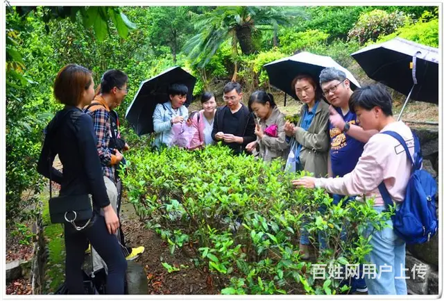 10月11日天晟茶艺培训完全改变了你对茶艺的认知 - 图片 11