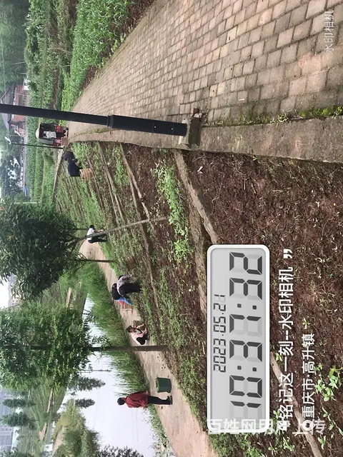 珠海市狗狗学校～狗狗心理行为纠正、训犬场所 - 图片 2