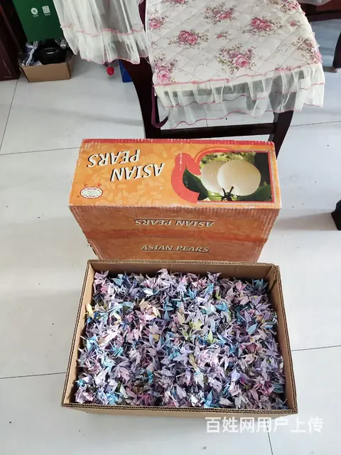 千纸鹤 - 图片 4