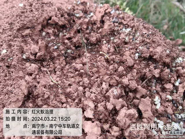 白蚁防治、虫害消杀 - 图片 5