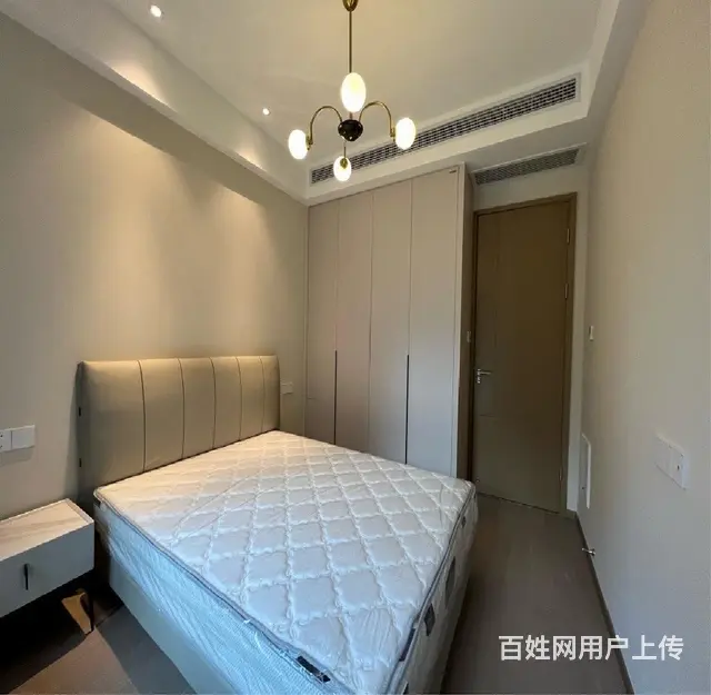 国都公寓精装2房三华园平安居仙林苑中河北路凤起路杭州大厦 - 图片 4