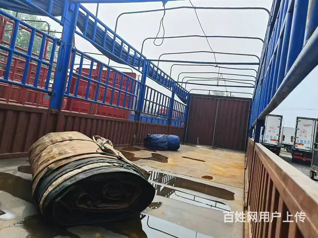 出售二手9.6米高栏欧曼EST前四后八460马力 - 图片 5