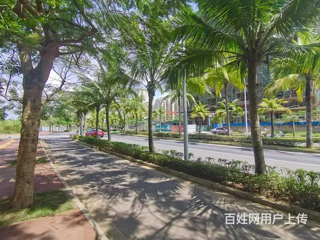 （51旺铺推荐）文昌市清中路3196平整栋招租 - 图片 5