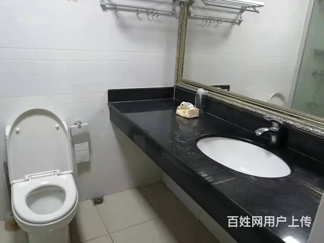 出租止泊园1室1厅1卫1阳台拎包入住豪华 - 图片 8