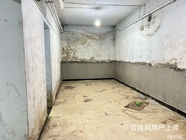 南岗保健路征仪路口地下库房出租 - 图片 9