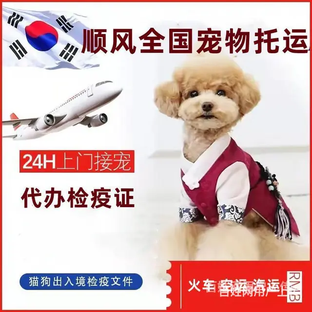 2022龙口市宠物托运（猫狗）邮寄快递（宠物活体运输新*闻） - 图片 7