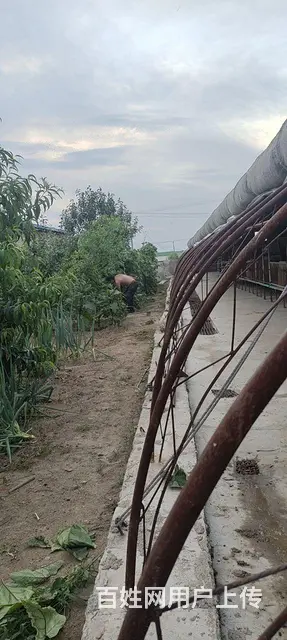 转让中型养殖场 - 图片