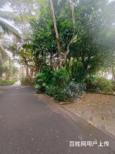 博鳌长滩雨林一房一厅 - 图片 9