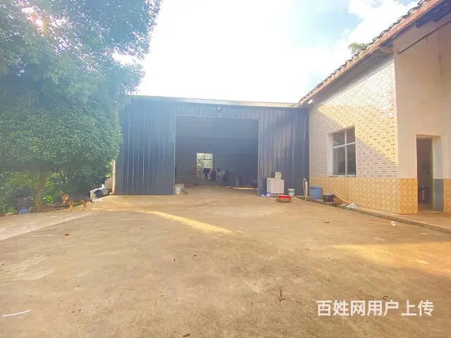 (房东直租)干杉互通旁300平厂房优价出租 - 图片 5