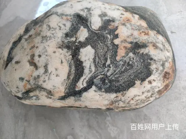 麒麟献瑞 - 图片 1
