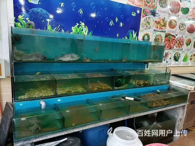 【创美】经区汽车站精装修饭店转让 - 图片 7