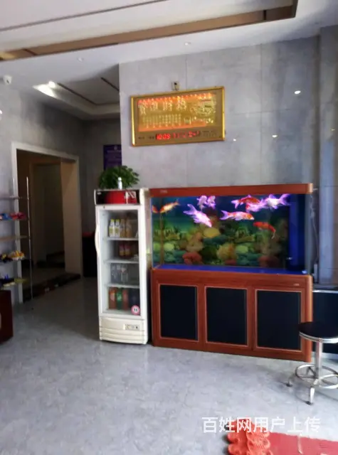 永吉主街旺铺门市出售浴池宾馆出售 - 图片 12