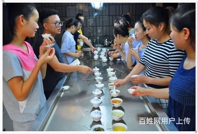 茶艺培训招生简章2024 新 - 图片 9