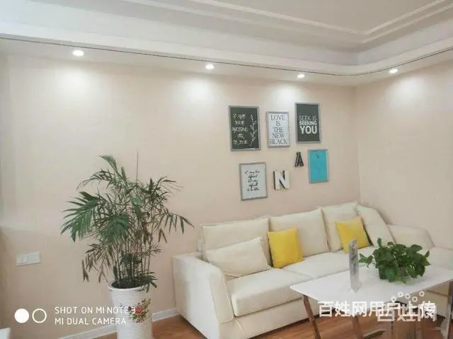 滁州市小商铺 总价十几万起 可*可自营 - 图片 3