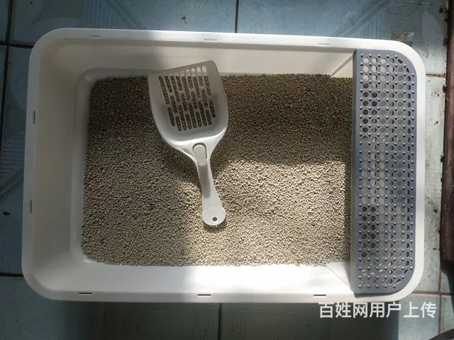 【搞定了！】猫沙和猫沙盆 - 图片 1