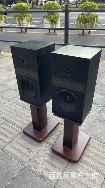 美国原装进口RA二分频低音8寸发烧音箱 - 图片 12