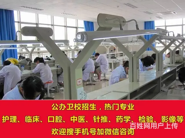 2023年德州卫校招生专业 - 图片 2
