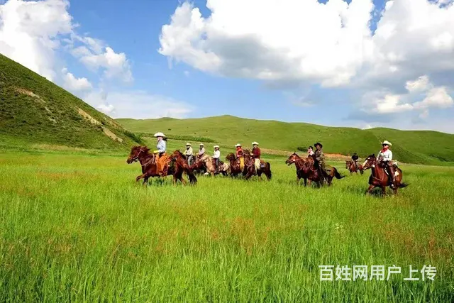 呼伦贝尔大草原旅游领队阿杰 - 图片 1