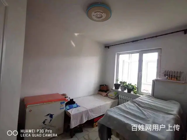 卖楼鹤岗市南山区 茗苑楼402室75平 20万 - 图片 5