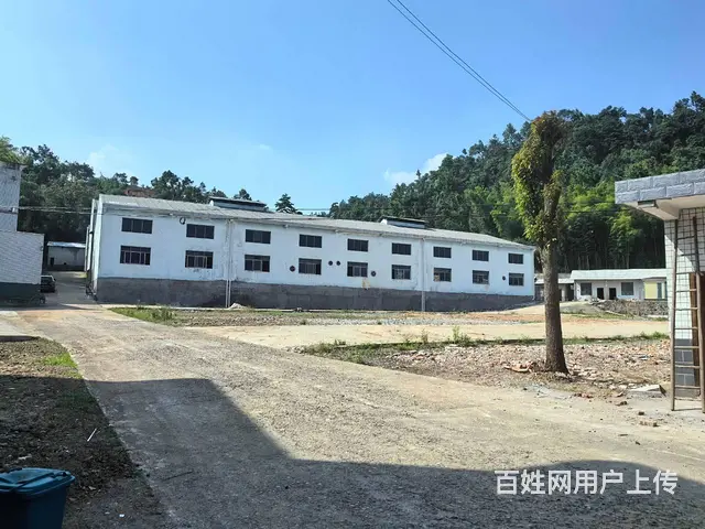 (房东直租)白若铺319国道旁4200平园区厂房出租，可分租 - 图片 12