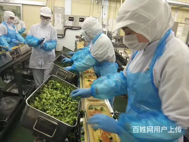 不成功不收费可贷款多国家出国劳务新西兰澳洲加拿大 - 图片 8