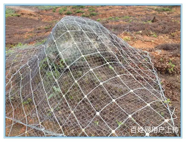 主动、被动边坡防护网，喷播绿化铁丝网、钢丝网厂家 - 图片 1