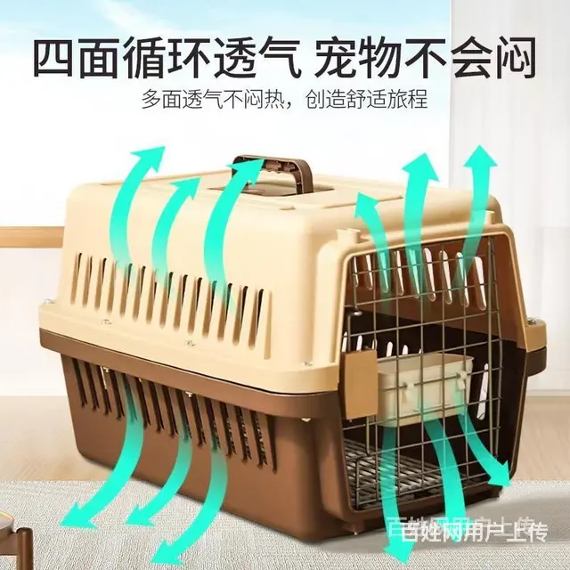 信阳托运宠物 （猫狗活体运输）快递至全国各地 - 图片 3