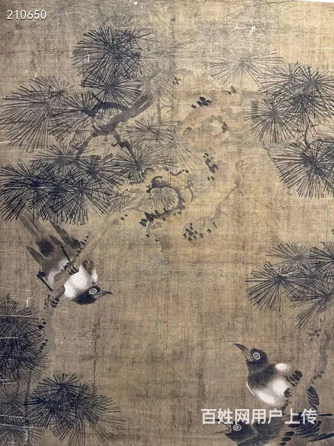 周之冕《松寿图》绢本立軸，画心尺寸66.5/154 - 图片 9
