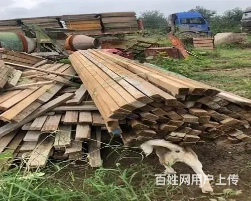 丹东模板回收市场今日报价 - 图片 2