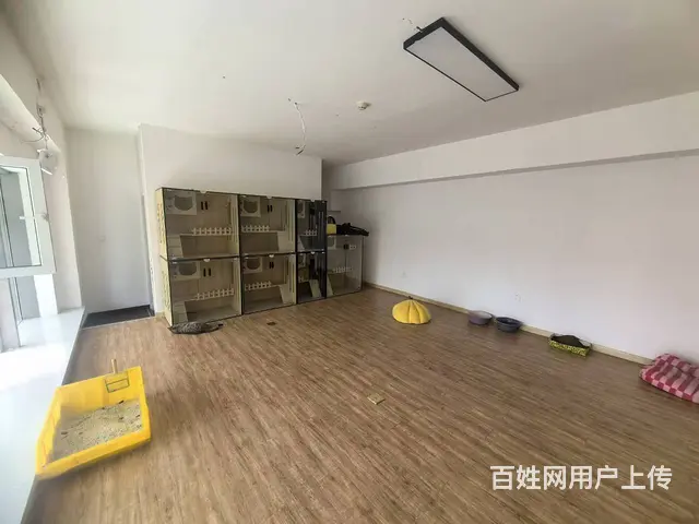 营盘街旺地精装自助宠物美容店出兑 - 图片 3