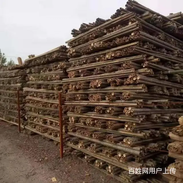 威海园林绿化杉木杆，竹杆批发现货供应_12小时送达 - 图片 11