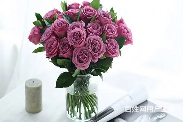 云南国色添香花卉流星花园花卉，助众多创业者实现成功 - 图片